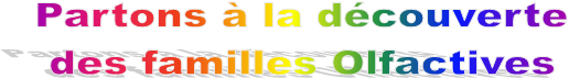 Partons  la dcouverte
des familles Olfactives